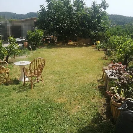In Collina Con Vista A 15 Minuti Dal Mare Pensión Riparbella